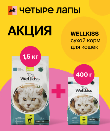 Специальное предложение на WELLKISS