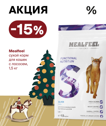 Mealfeel: -15% на сухой корм для кошек.