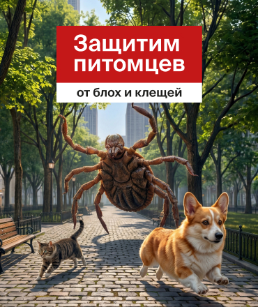 Профессиональная защита питомцев — со скидкой до 35% Профессиональная защита питомцев — со скидкой до 35%