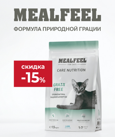 Mealfeel Care Nutrition — забота без компромиссов! Mealfeel Care Nutrition — забота без компромиссов!