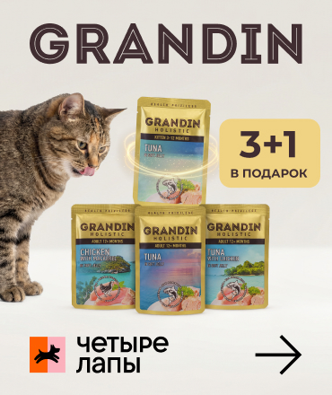 Grandin 3+1 в "Четыре Лапы"