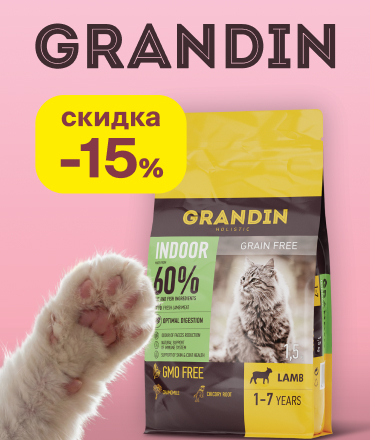 Скидка 15% на сухой корм Grandin