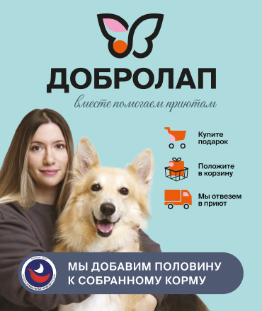 "Добролап": Вместе помогаем 195 приютам!
