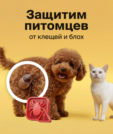 Весенняя защита для питомцев