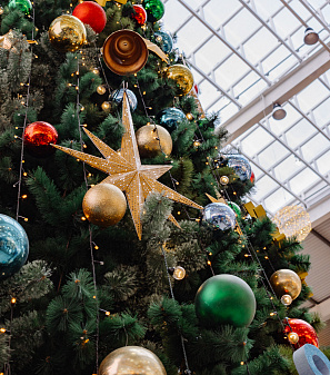 Резиденция Деда Мороза 2025/2026