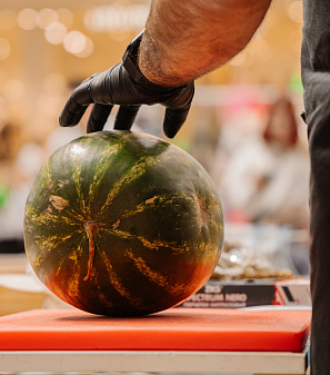 1 сентября – АрбуЗнания