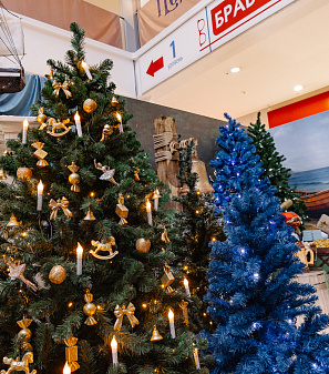 Резиденция Деда Мороза 2025/2026